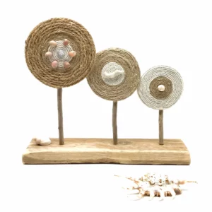 Ensemble 3 disques Trédrez